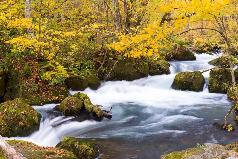 This represents one of northern Japan's most spectacular autumn leaf viewing destinations (Source: Freepik)